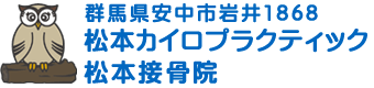 高崎・安中・富岡の整体ならＷＨＯ基準の松本カイロプラクティック整体